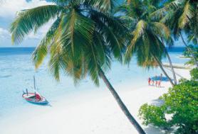 Maledivský hotel Vilu Reef Beach s pláží