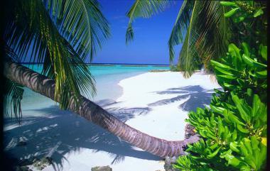Maledivy - tropický ráj